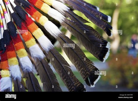 Multi Colored Feathers Of An Indian National Headdress Stock Photo Alamy