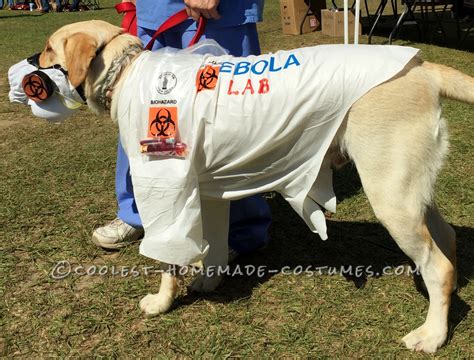 Witty Labrador Retriever Costume Ebola Lab