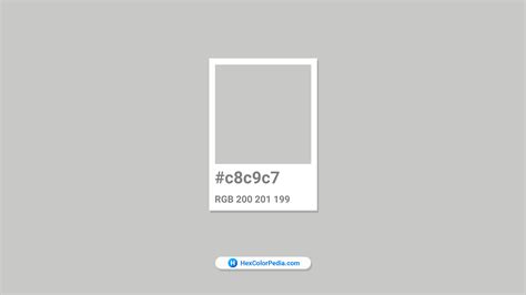 Pantone Cool Gray 3 C Hex Color Conversion Color Schemes Color