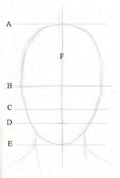 If you are talking about making sure that you have the eyes. Drawing lesson for Beginner artists: Proportions of the ...