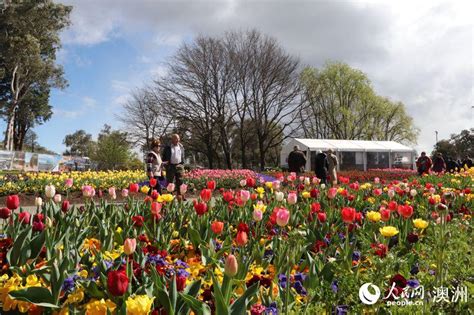 Canberra Blooms Australias Biggest Celebration Of Spring 4 People