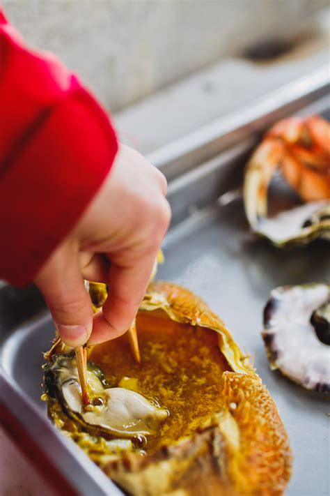 How To Go Crabbing On The Oregon Coast Everything You Need To Know