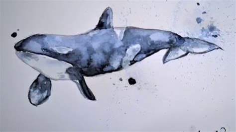 Painting A Whale With Watercolor Youtube