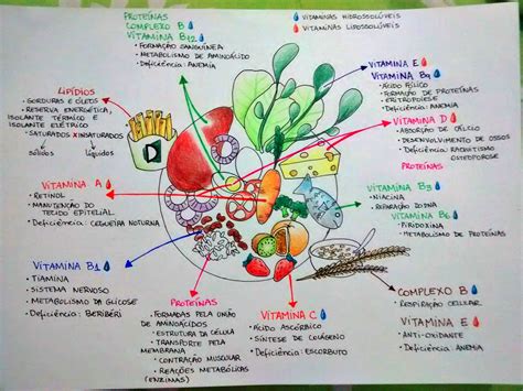 Os Carboidratos Os Lipídios E As Proteínas Constituem Material Estrutural