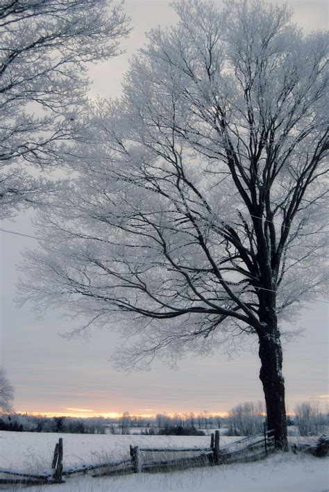 Frosty Sunrise Winter Scenes Cool Landscapes Winter Magic