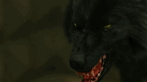 With tenor, maker of gif keyboard, add popular demonic animated gifs to your conversations. Pin by Wolfbird on CGI Wolf Gifs | Werewolf aesthetic ...