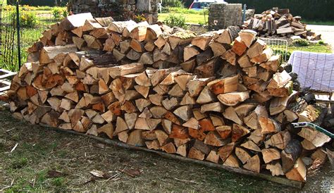 Cutting And Storing Firewood On Your Farm Hobby Farms