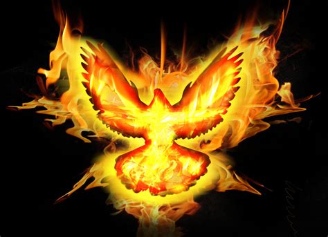 Holy Spirit Fire Dove By Fabiometalcore On Deviantart