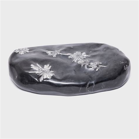 Chrysanthemum Stone Browse Or Buy At Pagoda Red