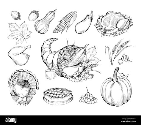 Thanksgiving Hand Drawn Vector Symbols Set Natural Food Vegetables