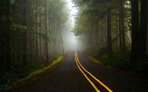 Road Dark Forest Wallpapers Hd Desktop And Mobile Backgrounds