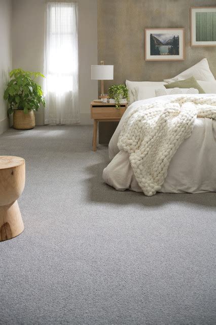 What Is Good Carpet For Bedrooms Carpetten