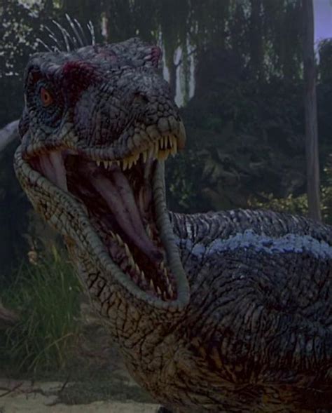 Image Raptor Jurassic Park Iii Villains Wiki Fandom Powered By Wikia