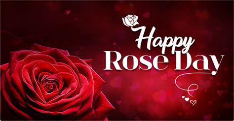 Happy Rose Day 2020 Daneelyunus