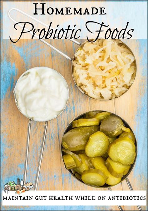 Let's explore how probiotics help your plants thrive plus how to make your own probiotic potion for higher. Homemade Probiotic Foods for Gut Support. | Probiotic foods, Food, Food drink