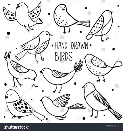 Pin By Animal Doodles On Drawing Bird Drawings Bird Doodle Bird Sketch