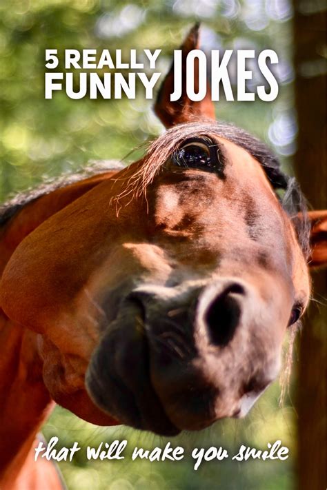 Really Funny Jokes That Will Make You Smile Roy Sutton