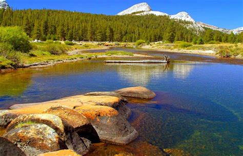 What Is The Best Time To Visit Yosemite National Park