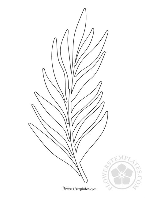 They can also put the flowers between paper towels or tissue paper to. Palm Branch template Palm sunday | Flowers Templates