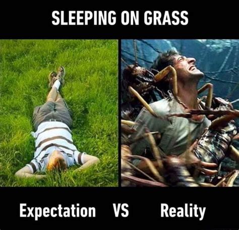 Sleeping On Grass We Ss Expectation Vs Reality Ifunny