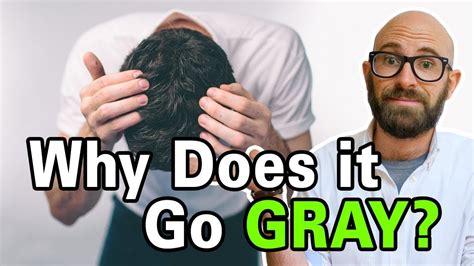 Stress can cause hair to gray prematurely by affecting the stem cells that are responsible for regenerating hair pigment. What Causes Hair to Turn Gray? - YouTube