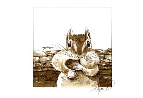 Chipmunk Game Theory 101 Nh Charitable Foundation