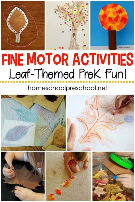 Leaf Themed Fine Motor Activities For Preschoolers