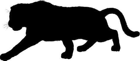 Black Panther Silhouette At Getdrawings Free Download