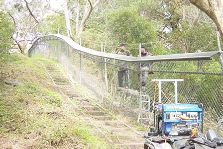 The implementation of exclusion fencing has proven to be a valuable investment for cattle and sheep producers seeking to protect their stock and feed. Pest: Xcluder Pest Proof Fencing