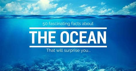 50 Fascinating Facts About The Ocean Guaranteed To