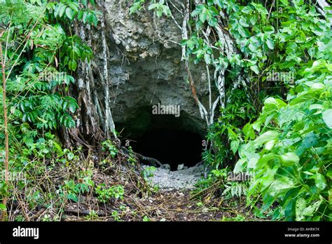 Entrance To Thousand Man Cave Japanese Wwii War Relic Ruins Peleliu