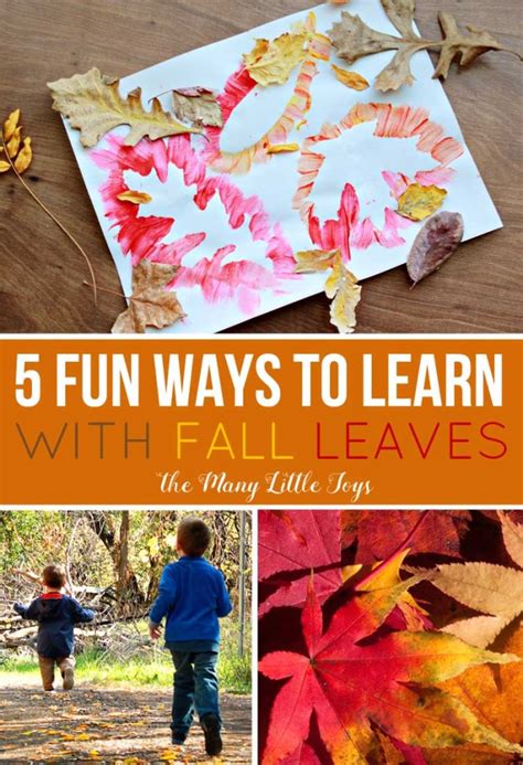 5 Fun Things To Do With Fall Leaves The Many Little Joys