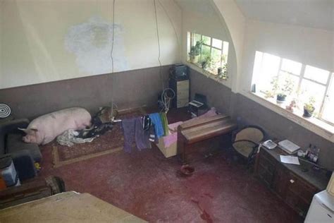 Top 20 Worst Real Estate Listing Photo Disasters
