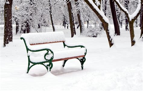 Wallpaper Trees Bench Park Winter Snow Winter Landscape Images For