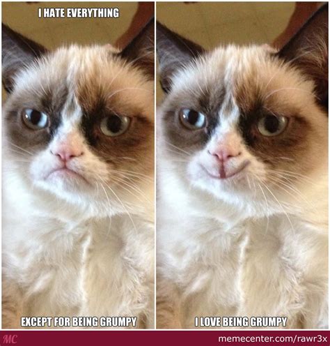 Grumpy Cat Loves Being Grumpy By Rawr3x Meme Center