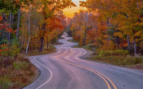 Wallpaper Bend Road Trees Autumn 1920x1200 Hd Picture Image