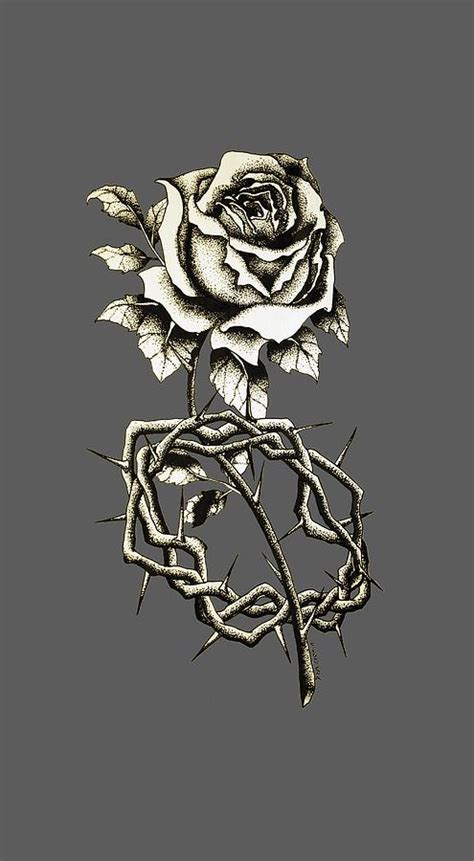 Rose thorn trail free vector and png. Rose With Thorns Drawing at GetDrawings | Free download
