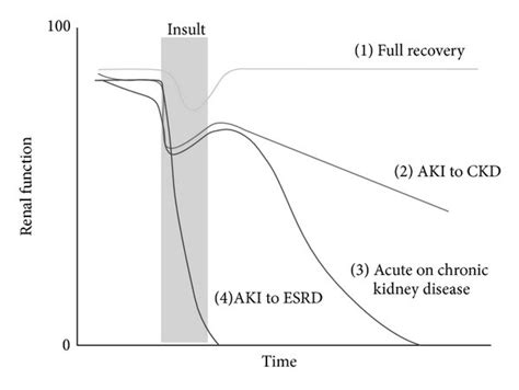 Acute Kidney Injury And Progression To Ckd 19 A Conceptual Model