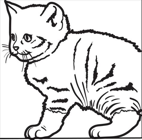 Sweet coloring pages with cute kittens from 44 cats series. Funny Cat Pics For Kids - Coloring Home
