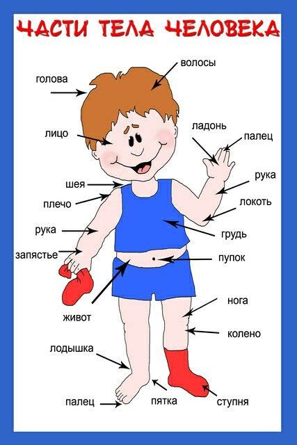 pin by marissa jerussalem on Развитие речи 2 russian language learning learn russian russian