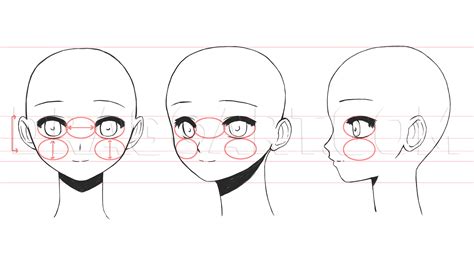 How To Draw A Anime Head For Beginners How To Draw Anime Heads Step