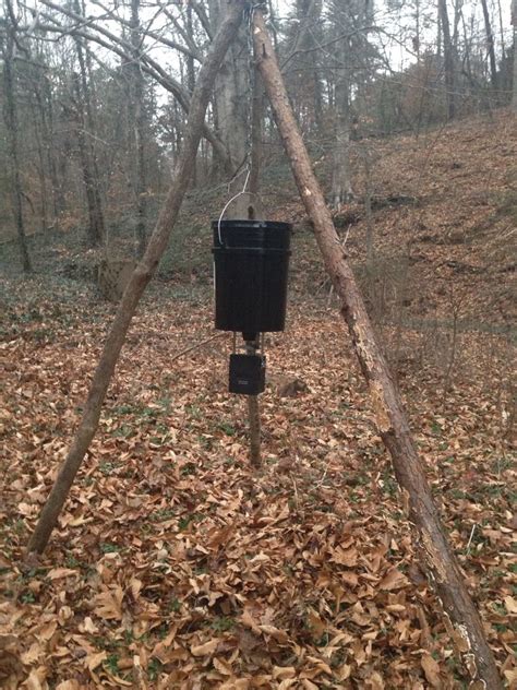 Tripod Deer Feeder Plans Orchids Plants