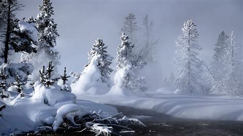 1920x1080 1920x1080 Snow Snowdrifts Trees Winter Coolwallpapersme