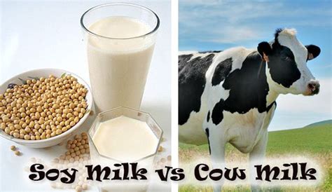 Soy Milk Disadvantages Pros And Cons Of Drinking Soy Milk