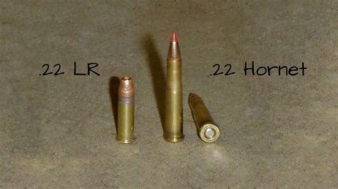 22 Hornet Vs 22 Lr Whats The Difference