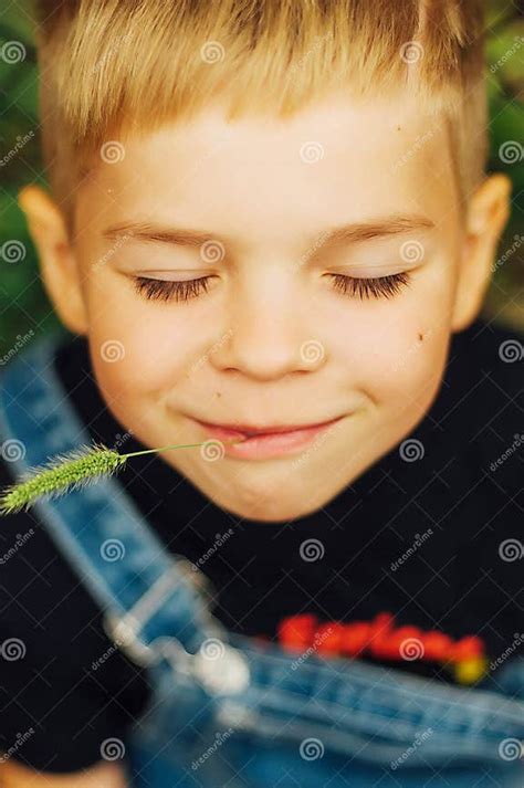 Portrait Of Smiling Seven Year Old Boy Seven Year Old Boy With Stock