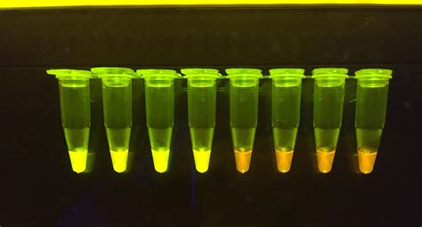 Combine lab id,flight pass or id/passport with other field/s. UCalgary researchers develop a new method to test for ...