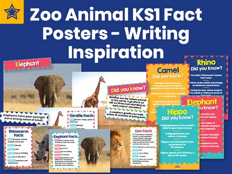 Zoo Animal Ks1 Fact Posters Writing Inspiration