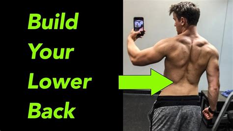Top 5 Exercises For Lower Back At Gym And Home Youtube