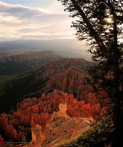 Bryce Canyon Early Morning View By Dorothy Cunningham Bryce Canyon